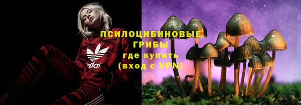 дмт Киров