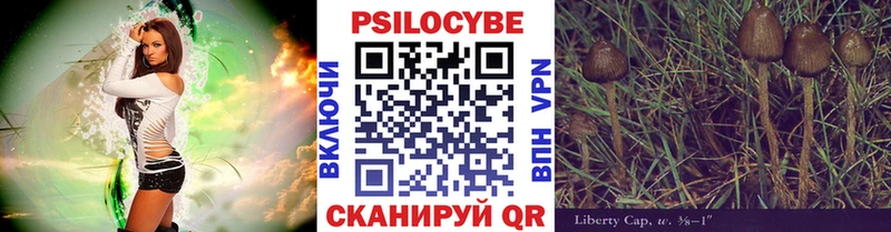 мориарти Telegram OMG ССЫЛКА Западная Двина Галлюциногенные грибы Cubensis